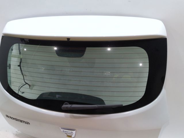 901003145R Renault (RVI)