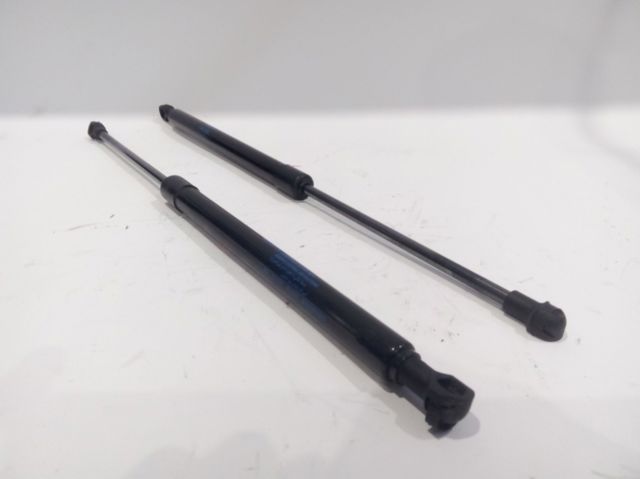 Amortecedor de tampa de porta-malas (de 3ª/5ª porta traseira) 904505FA1A NISSAN