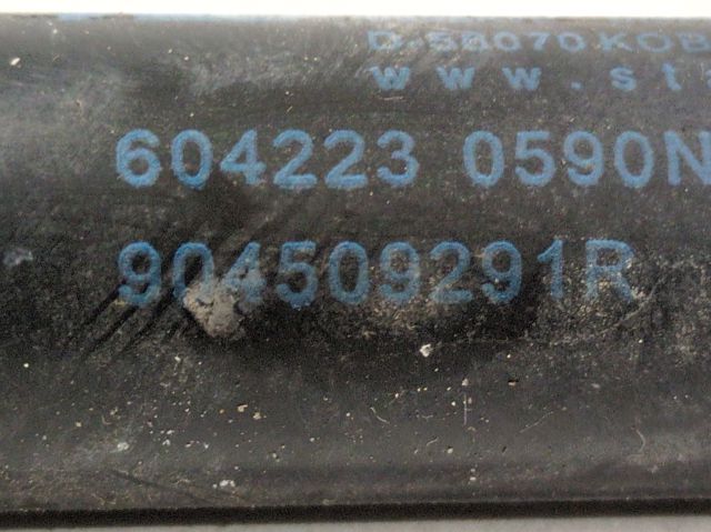 Amortecedor de tampa de porta-malas (de 3ª/5ª porta traseira) 904509291R RENAULT