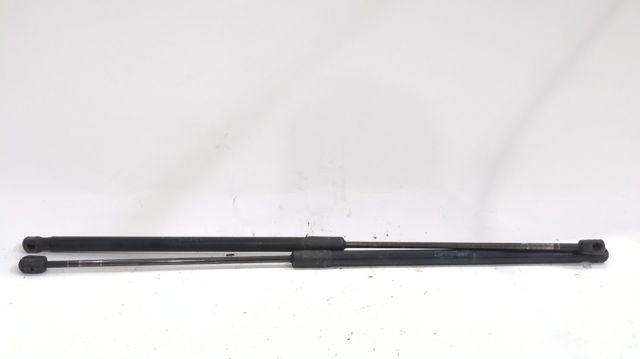 Amortecedor de tampa de porta-malas (de 3ª/5ª porta traseira) Renault Megane III DZ0, DZ1 ao melhor preço