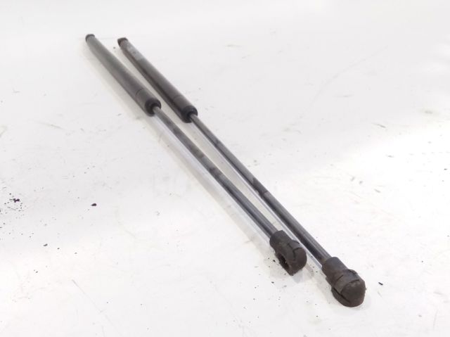 Amortecedor de tampa de porta-malas (de 3ª/5ª porta traseira) 904513981R RENAULT