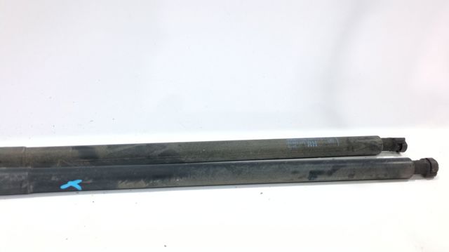 Amortecedor de tampa de porta-malas (de 3ª/5ª porta traseira) 95095591 GM