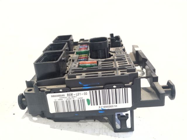 9656005580 Peugeot/Citroen