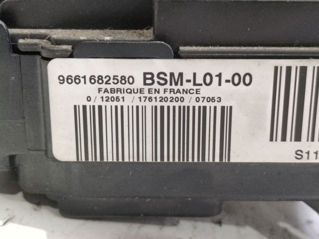 9661682580 Peugeot/Citroen