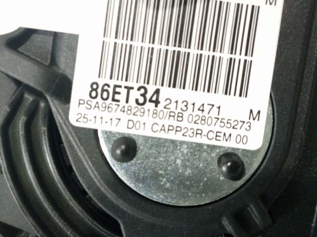 9674829180 Peugeot/Citroen