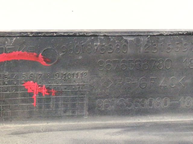 9676568780 Peugeot/Citroen