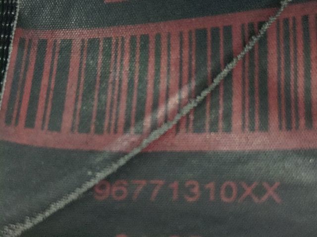 96771310XX Peugeot/Citroen