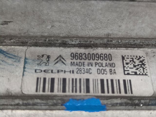 9683009680 Peugeot/Citroen