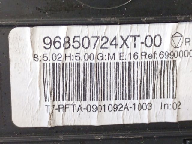 96850724XT Peugeot/Citroen