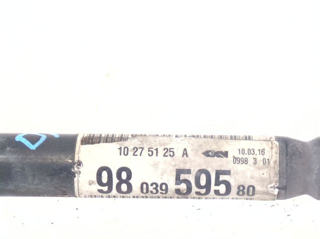 9803959580 Peugeot/Citroen