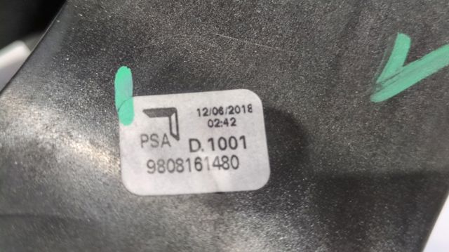 9808161480 Peugeot/Citroen