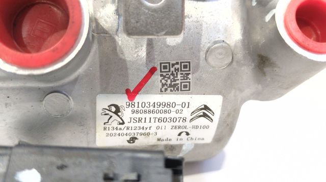 9810349980 Peugeot/Citroen