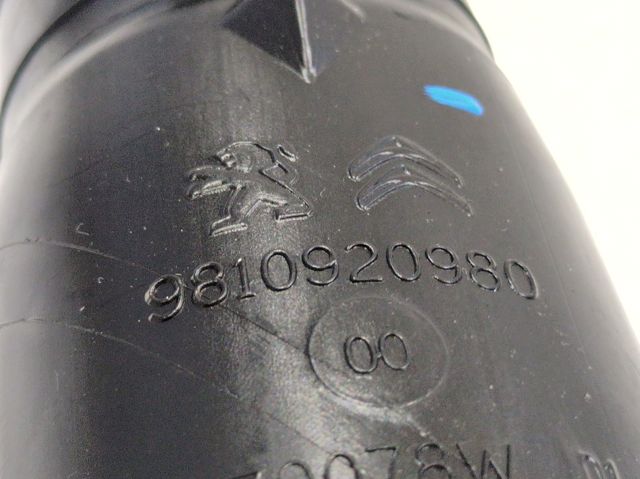 9810920980 Peugeot/Citroen