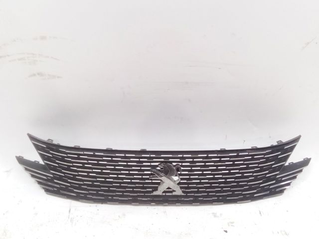 9814976880 Peugeot/Citroen