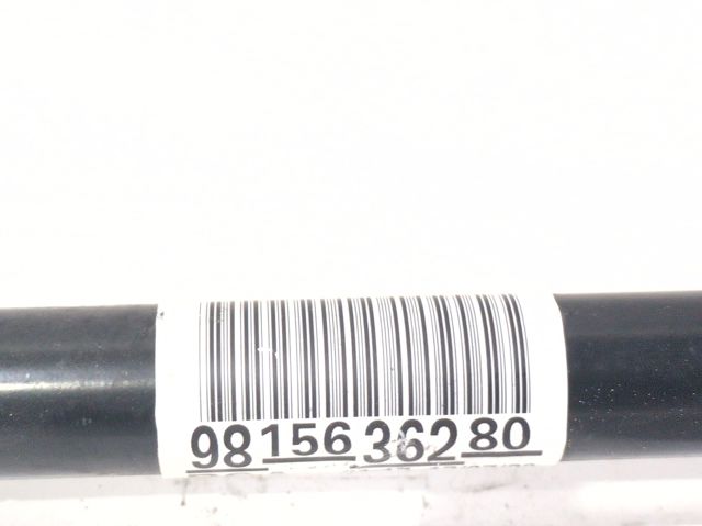 9815636280 Opel
