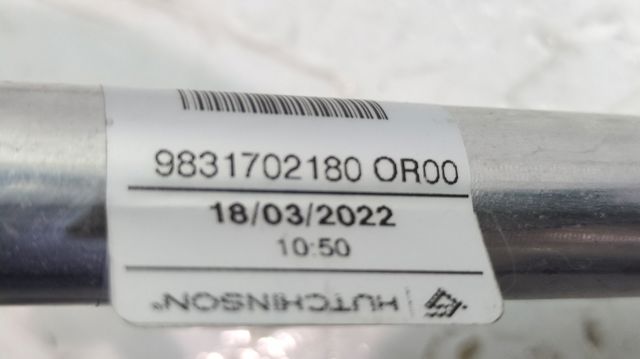9831702180 Peugeot/Citroen