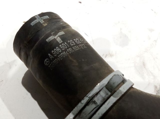 Mangueira (cano derivado) do radiador de esfriamento superior A9065012982 MERCEDES