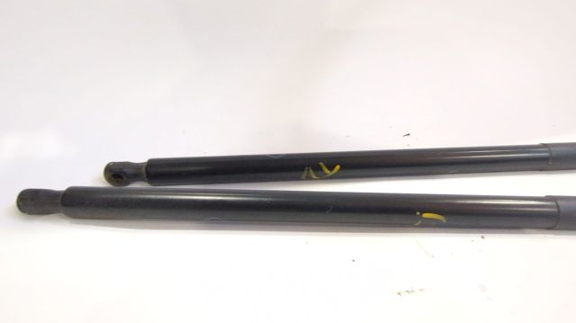 Amortecedor de tampa de porta-malas (de 3ª/5ª porta traseira) AM51R406A10AF FORD