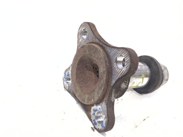 Pino moente (extremidade do eixo) traseiro BK214A013EB FORD