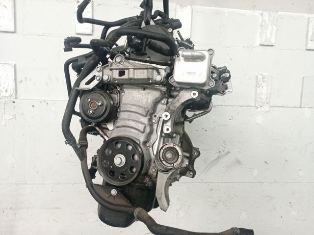 CBZC VAG