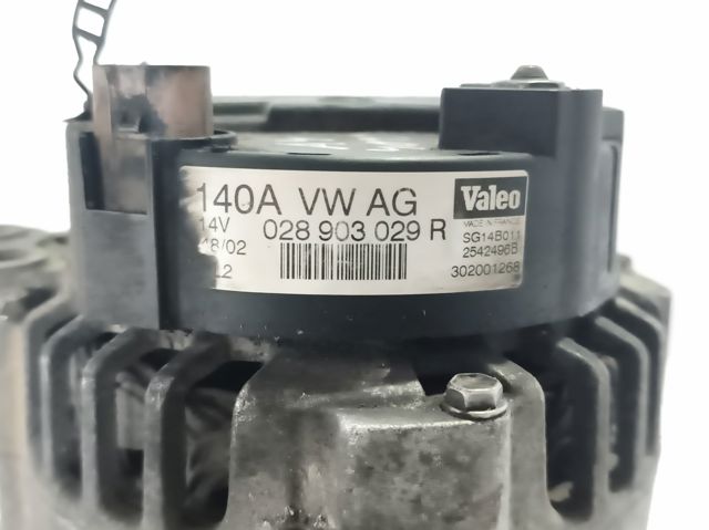 028903029R VAG