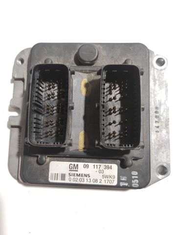 Módulo de direção (Centralina eletrônica) de motor 09117394 OPEL