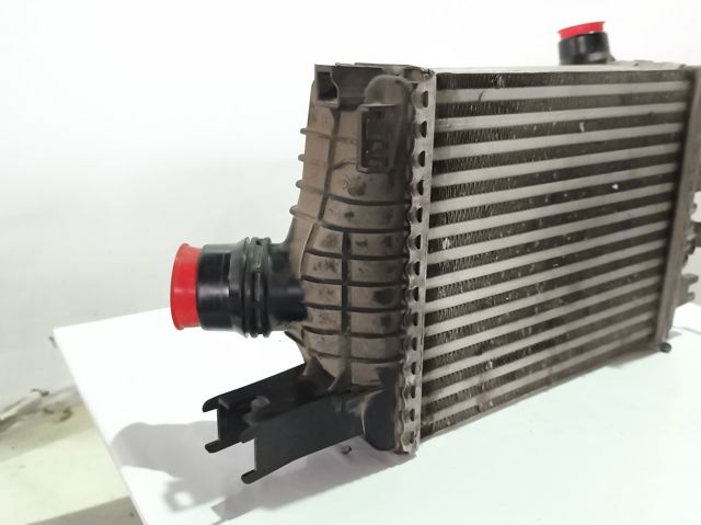144961381R Renault (RVI)