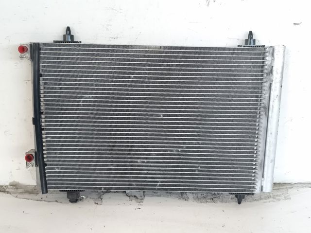 1610161980 Peugeot/Citroen