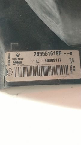 265551619R Renault (RVI)