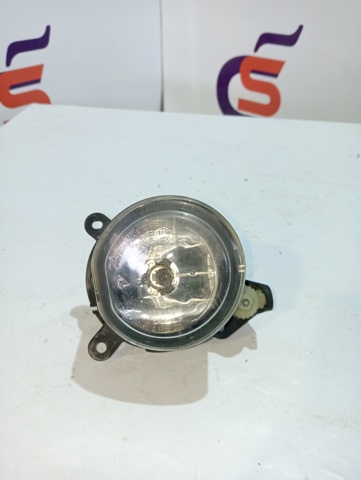 Luzes de nevoeiro esquerdas 305060001 BMW