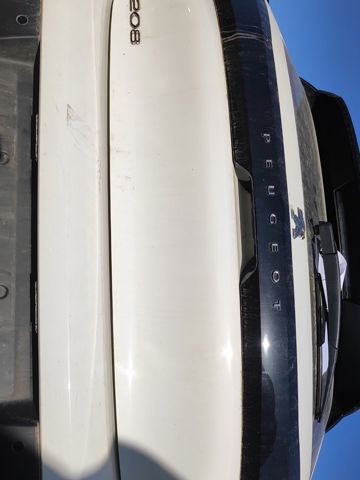 8719F8 Peugeot/Citroen