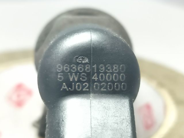 9636819380 Peugeot/Citroen