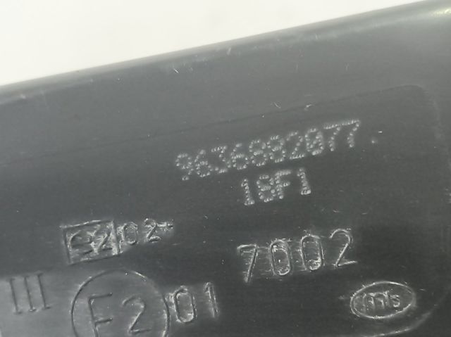 9636882077 Peugeot/Citroen