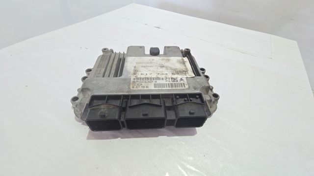 9661773380 Peugeot/Citroen