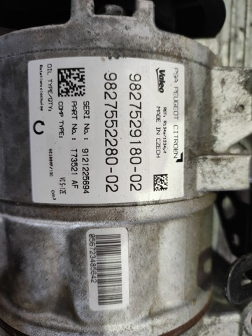 9675655880 Peugeot/Citroen