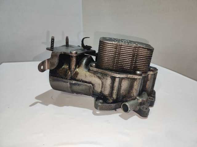 Caixa do filtro de óleo 9687847480 PEUGEOT