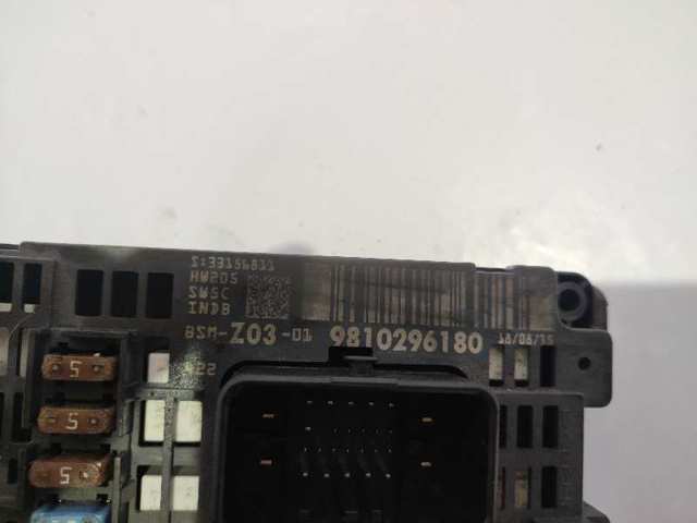 9810296180 Peugeot/Citroen