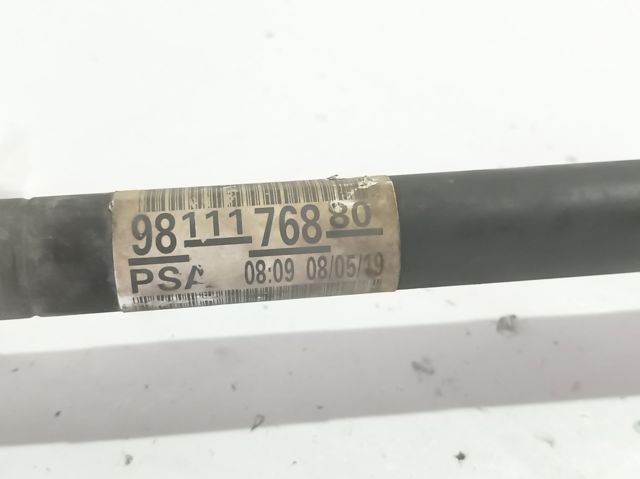 9811176880 Peugeot/Citroen