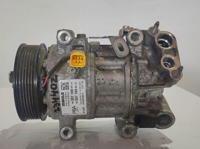 9833718880 Peugeot/Citroen
