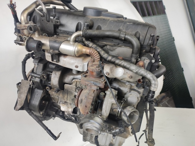BPE VAG
