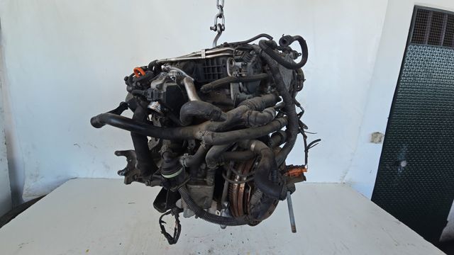 CAHA VAG