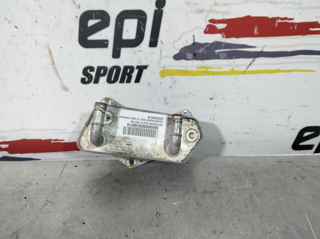 Radiador de esfriamento, Caixa Automática de Mudança 02E409061B VAG