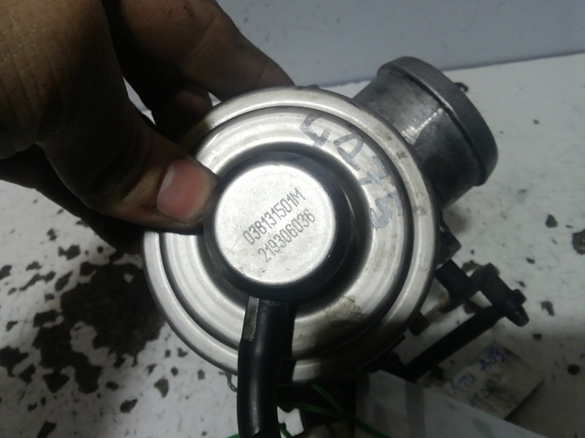 Válvula EGR de recirculação dos gases 038131501M VAG