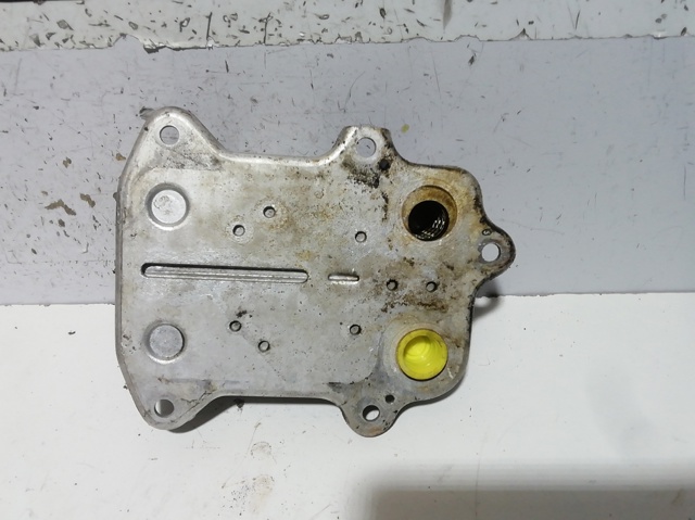 Radiador de óleo 03C117021E VAG