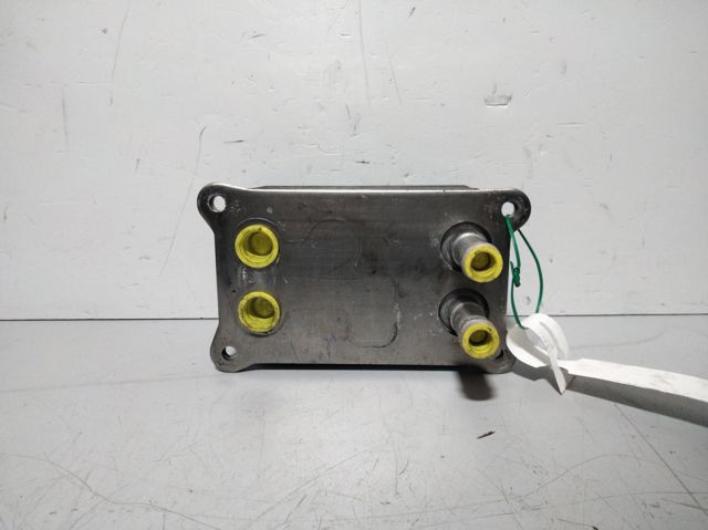 Radiador de óleo (frigorífico), debaixo de filtro 6199626 FORD