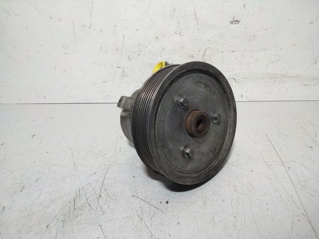 Polia de bomba da Direção hidrâulica assistida 8200357347 RENAULT