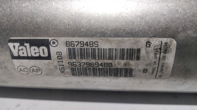 9637969480 Peugeot/Citroen
