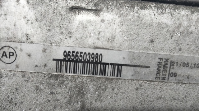 9656503980 Peugeot/Citroen