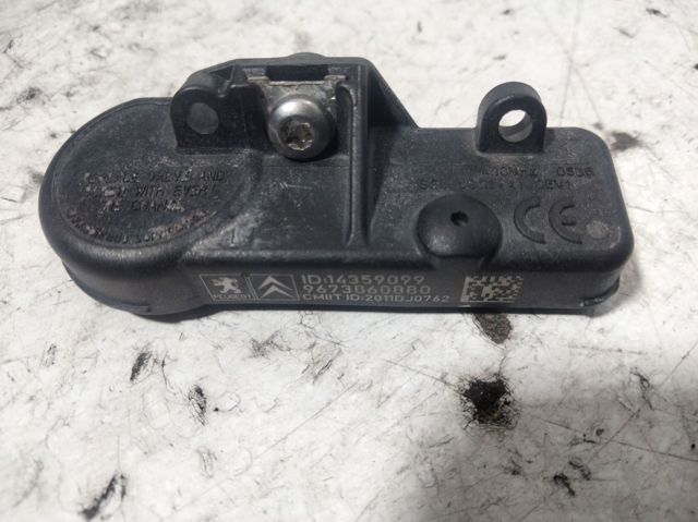 9673860880 Peugeot/Citroen
