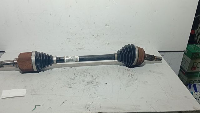 9811176880 Peugeot/Citroen